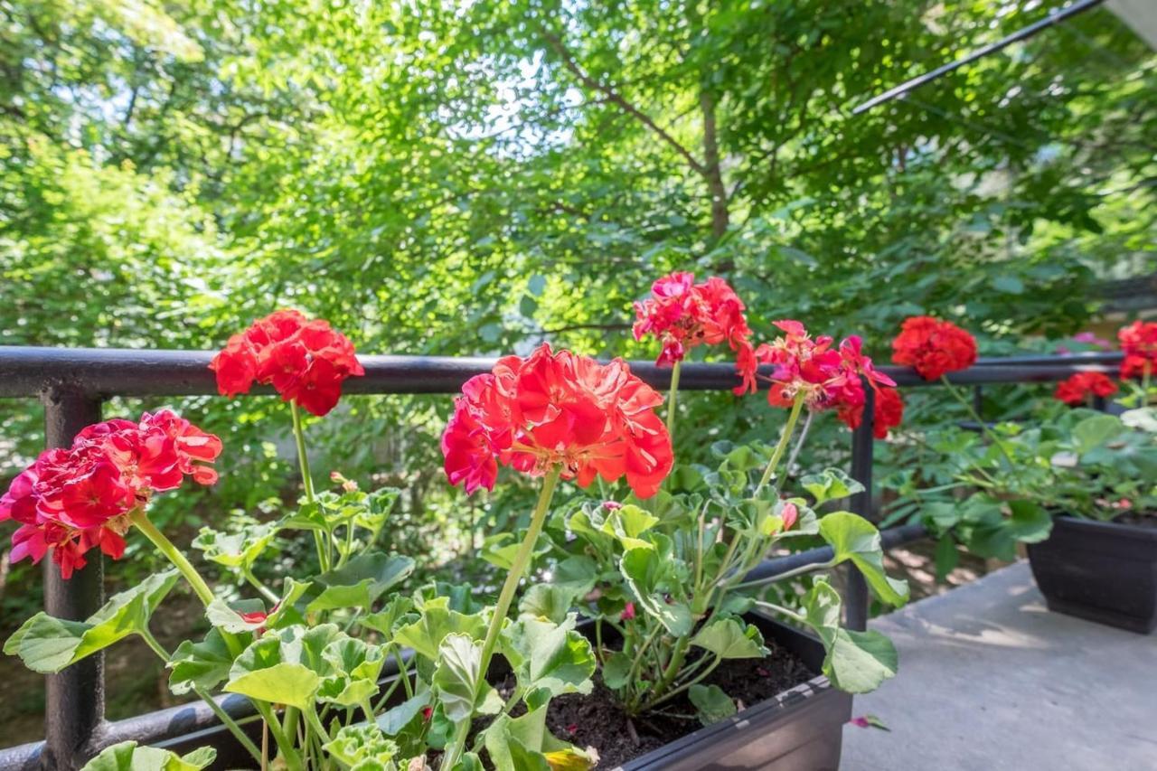Your Perfect Place To On Vitosha Str Apartment Sofia
